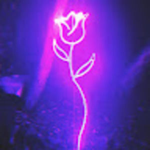 Meet your Posher, Taze